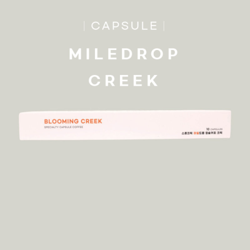 스톤크릭,커피,원두,드립,드립커피,드립백,싱글오리진,홀빈,음료, 커피, 원두커피, 산미, 산미원두,과테말라,